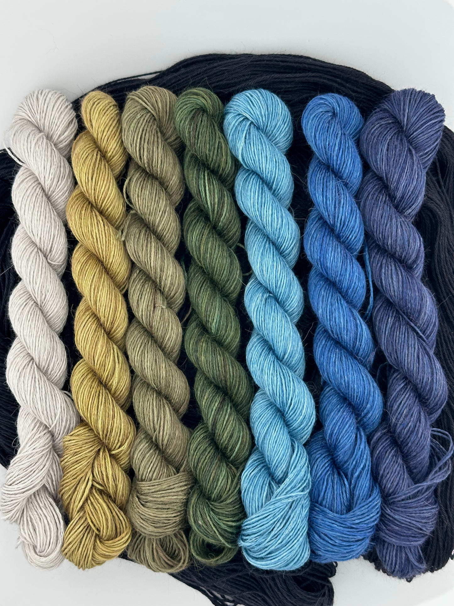 Lisa K Ross Coastal Minis