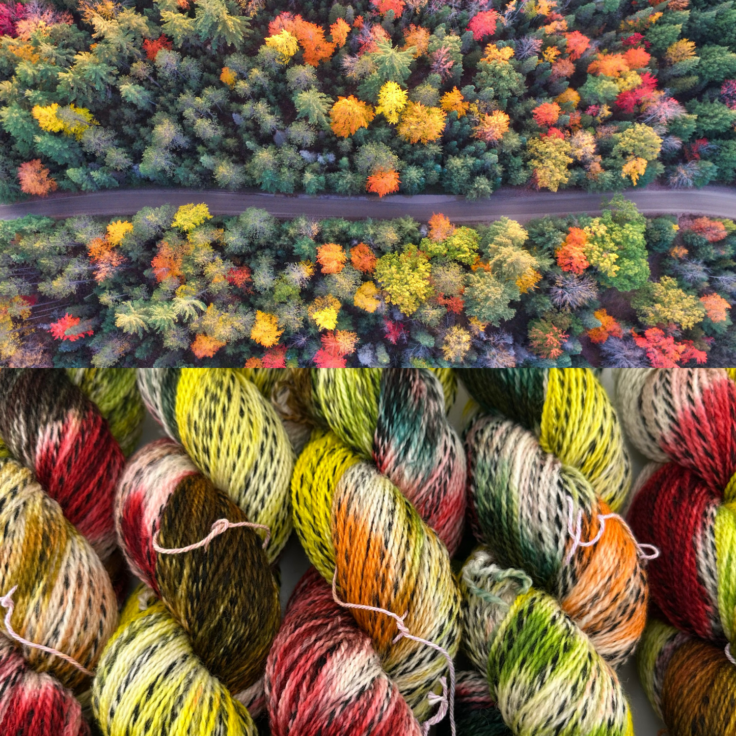 Yarn Dragon Secrets - Highland Zebra Fingering