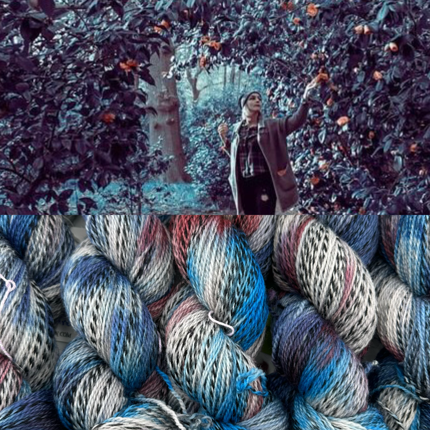 Yarn Dragon Secrets - Highland Zebra Fingering