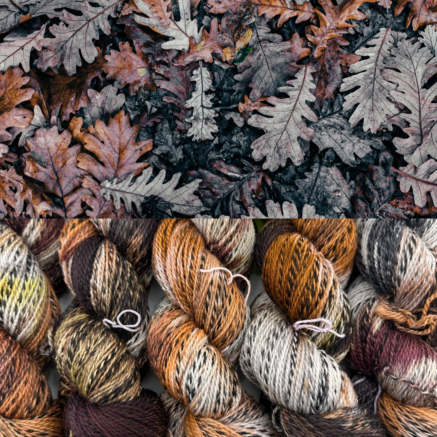 Yarn Dragon Secrets - Highland Zebra Fingering