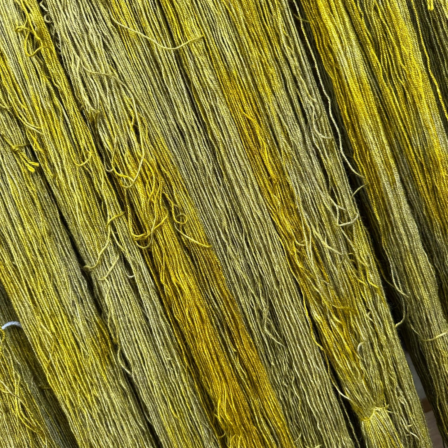 Yarn Dragon Secrets - Yakalicious